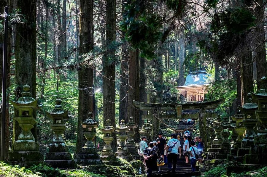 From Fukuoka: Miyazaki, Takachiho Gorge and Shrines Day Tour - Key points to know before you book