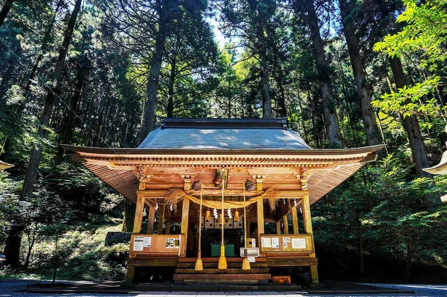 From Fukuoka: Miyazaki, Takachiho Gorge and Shrines Day Tour - Why this Kyushu day trip is worth considering