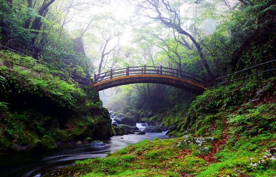 From Fukuoka: Miyazaki, Takachiho Gorge and Shrines Day Tour - Meeting the bus near Hakata Station