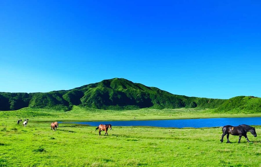 From Fukuoka: Mount Aso, Kurokawa Onsen, and Shrine Tour - Who will get the most from this tour?