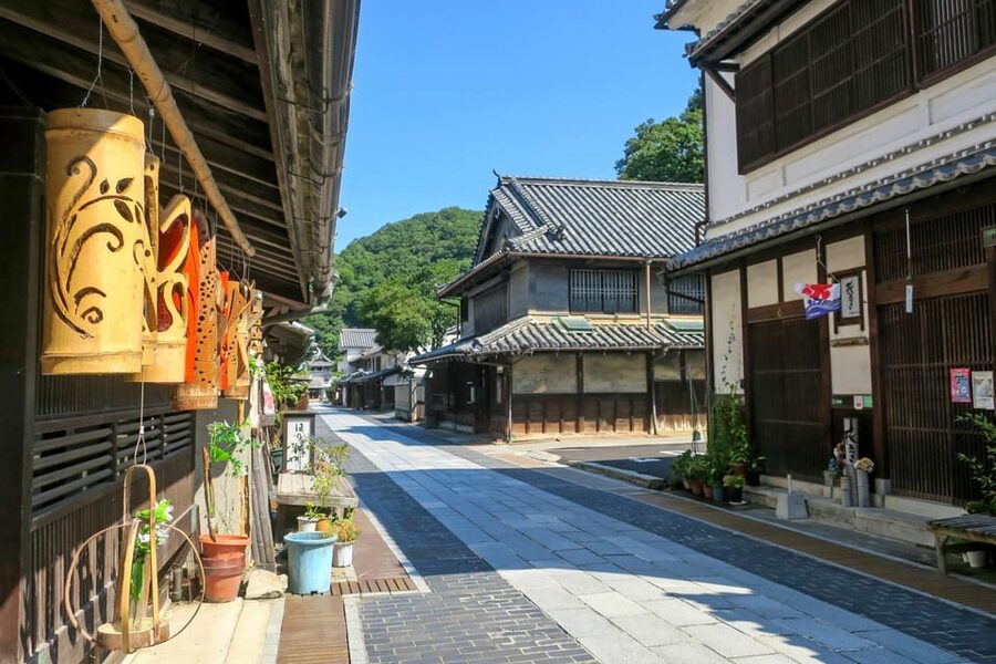 From Hiroshima: Rabbit Island and Takehara Town Tour - The guide can shape the whole experience