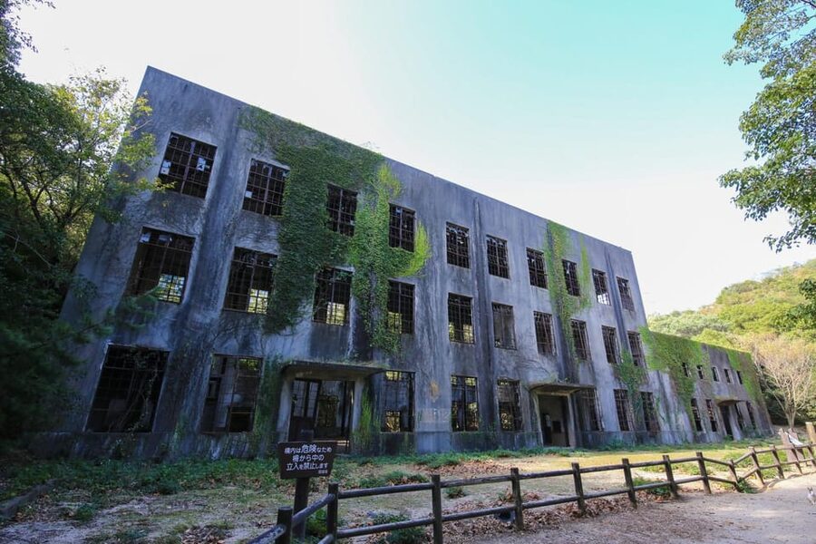 From Hiroshima: Rabbit Island and Takehara Town Tour - Why this Hiroshima day trip works