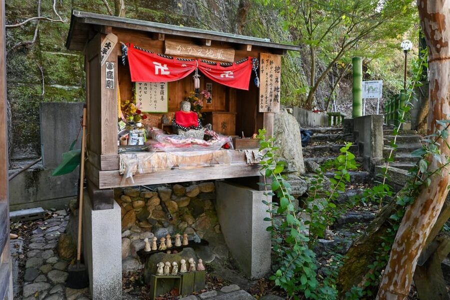 From Hiroshima: Rabbit Island and Takehara Town Tour - What the $170 price really covers