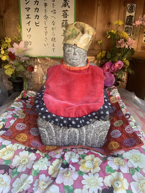 From Hiroshima: Rabbit Island and Takehara Town Tour - Pace, group size, and physical demands