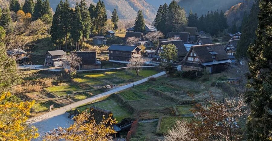 From Kanazawa: Shirakawa-go, Gokayama and Wood Carving Art - At a glance