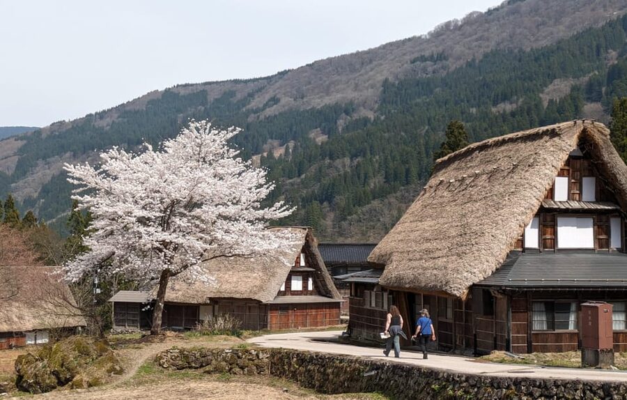 From Kanazawa: Shirakawa-go, Gokayama and Wood Carving Art - Timing, transport, and practical comfort