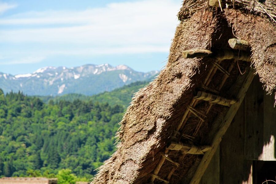 From Kanazawa: Shirakawago, Hida-Furukawa and Takayama Visit - Key points to know before booking
