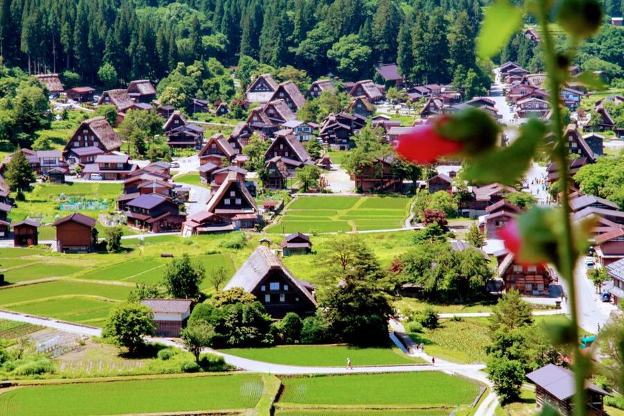 From Kanazawa: Shirakawago, Hida-Furukawa and Takayama Visit - Your guide shapes the day