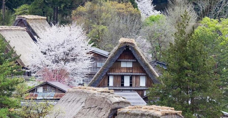 From Kanazawa/Toyama: Shirakawago and Takayama Day Tour - The route is flexible, but the clock still matters