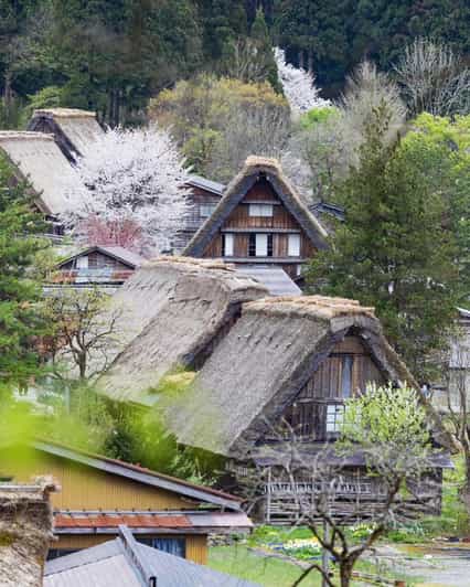 From Kanazawa/Toyama: Shirakawago and Takayama Day Tour - Hida no Sato in 45 minutes