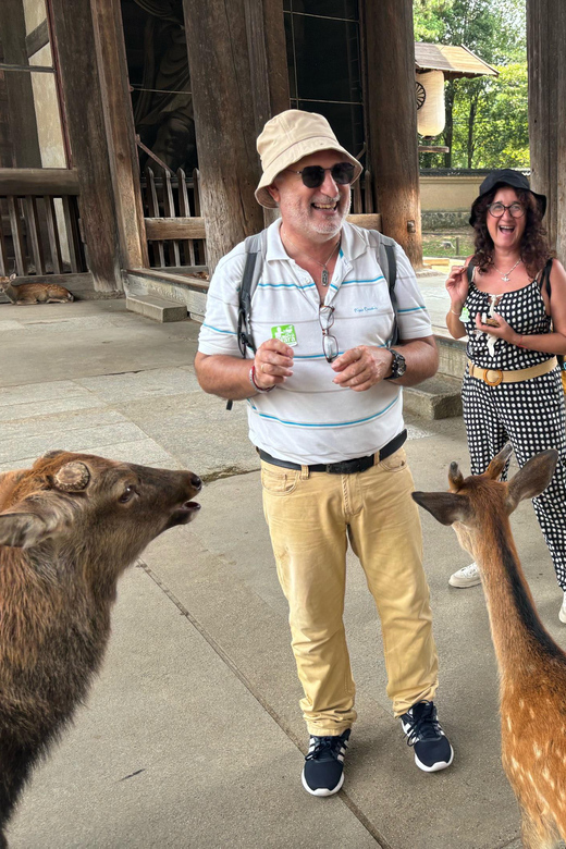 From Kyoto: Nara Guided Morning Tour - Key points at a glance