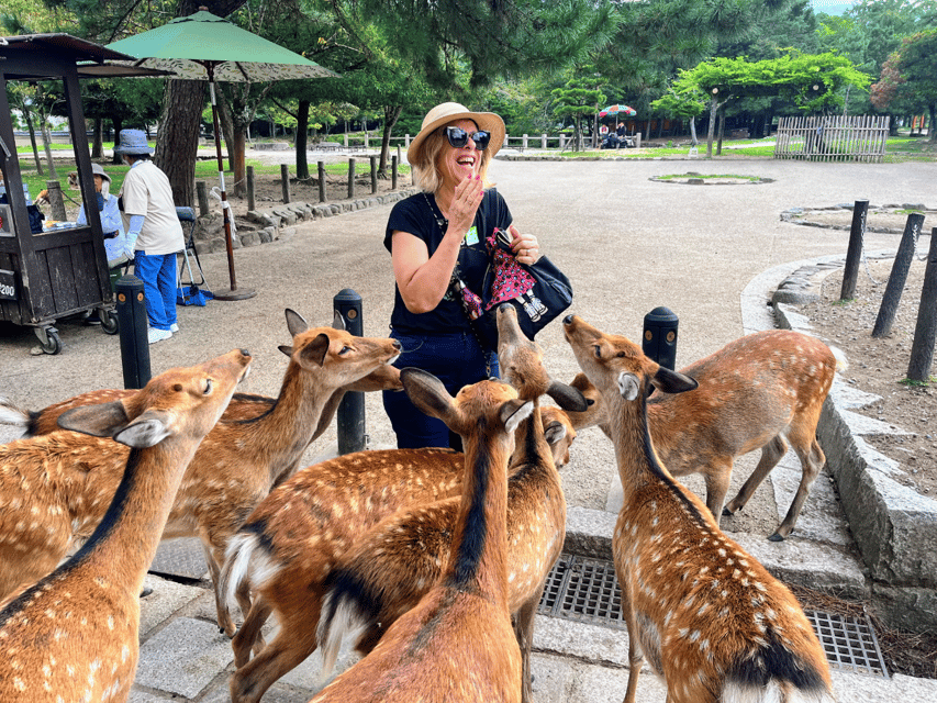 From Kyoto: Nara Guided Morning Tour - Why this short Nara tour works