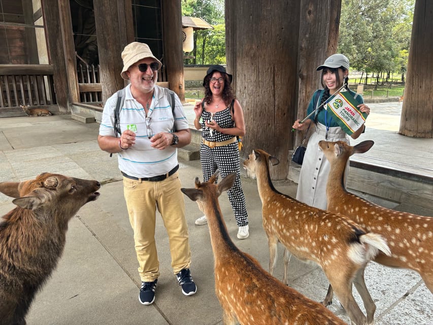 From Kyoto: Nara Guided Morning Tour - The ride south through historic Kyoto and Nara