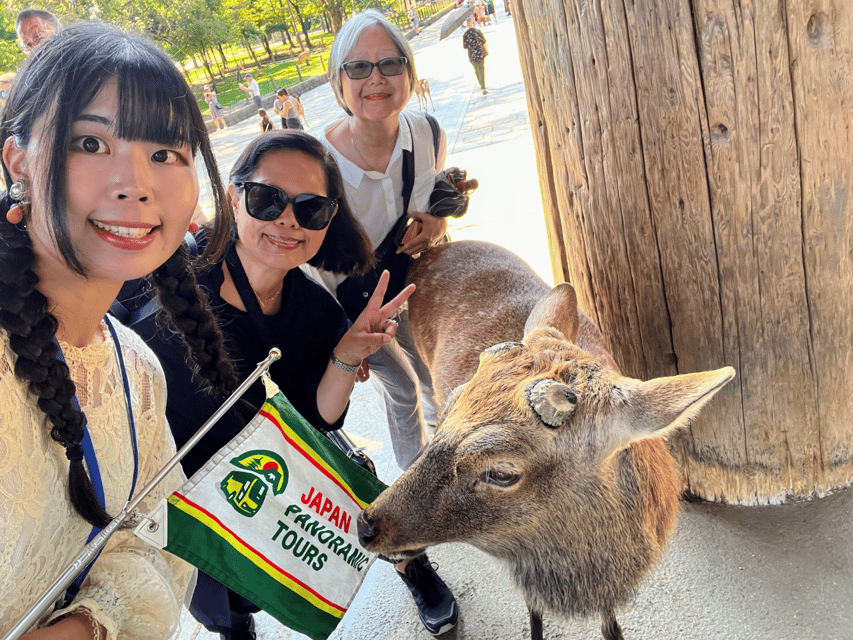 From Kyoto: Nara Guided Morning Tour - Nara Park and the deer