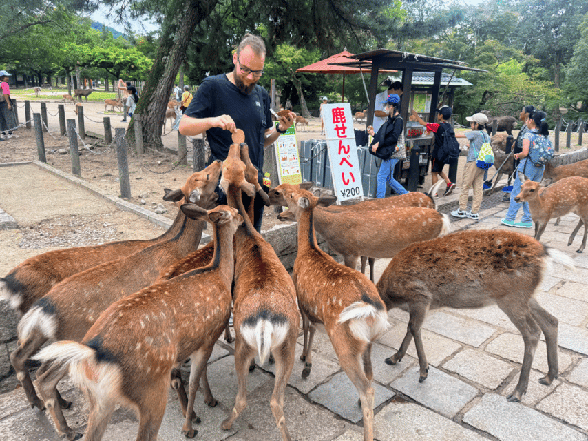 From Kyoto: Nara Guided Morning Tour - Todaiji and the Great Buddha