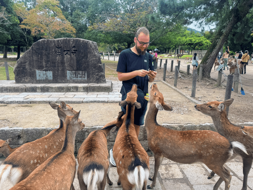 From Kyoto: Nara Guided Morning Tour - Walking, weather, and comfort