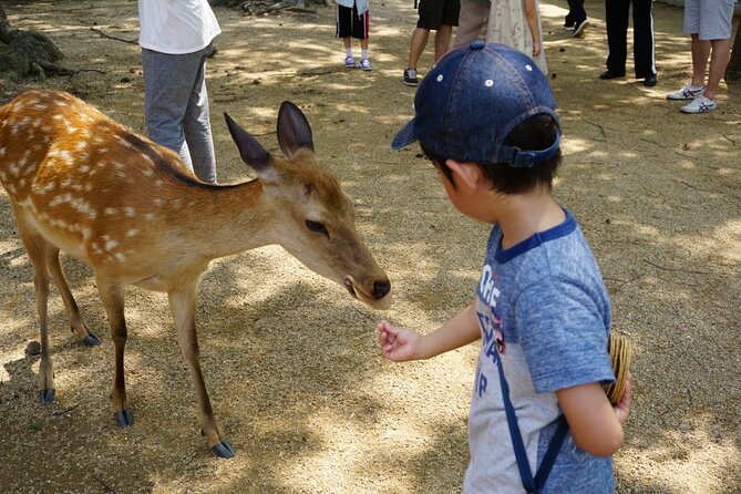 From Kyoto: Nara History Guided Half Day Bus Tour with Lunch - A Japanese-style lunch after the temples