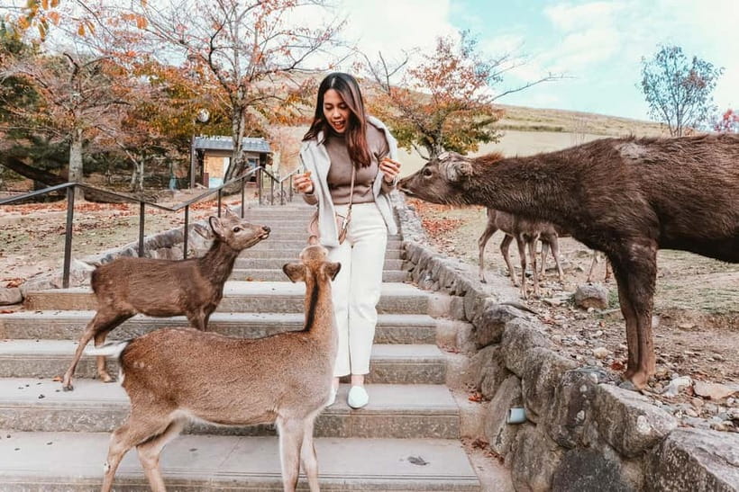 From Kyoto: Nara, Osaka & Kobe Day Trip – 3 Cities in 1 Day - Guides, transport, and the pace of the day