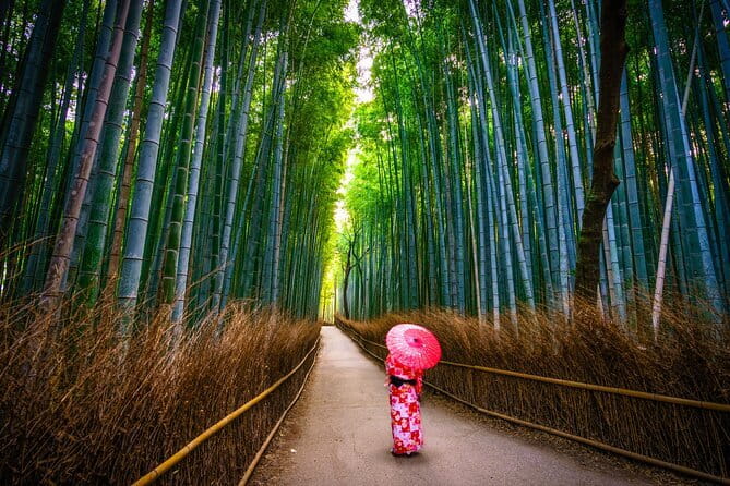 From Kyoto / Osaka: Kyoto Must-see Spots & Nara Park One Day Tour - Why this $60 Kyoto and Nara route works