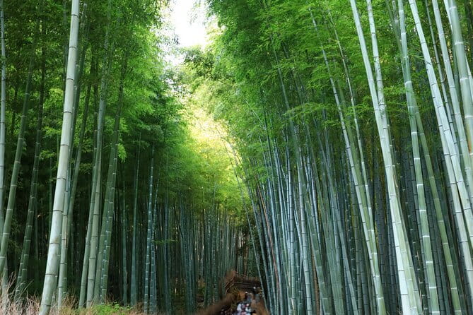 From Kyoto / Osaka: Kyoto Must-see Spots & Nara Park One Day Tour - Fushimi Inari Taisha: make the lower gates your goal