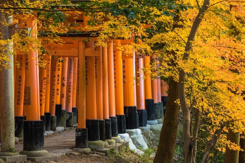 From Kyoto/Osaka: Kyoto Top Highlights 1-Day Guided Bus Tour - Kinkaku-ji and the Golden Pavilion