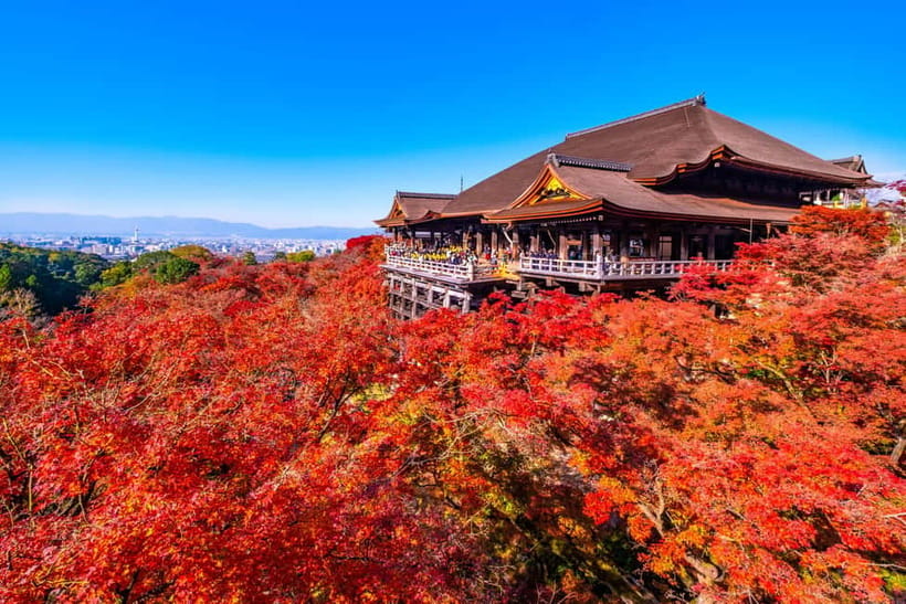 From Kyoto/Osaka: Kyoto Top Highlights 1-Day Guided Bus Tour - Arashiyama and the Sagano Bamboo Forest