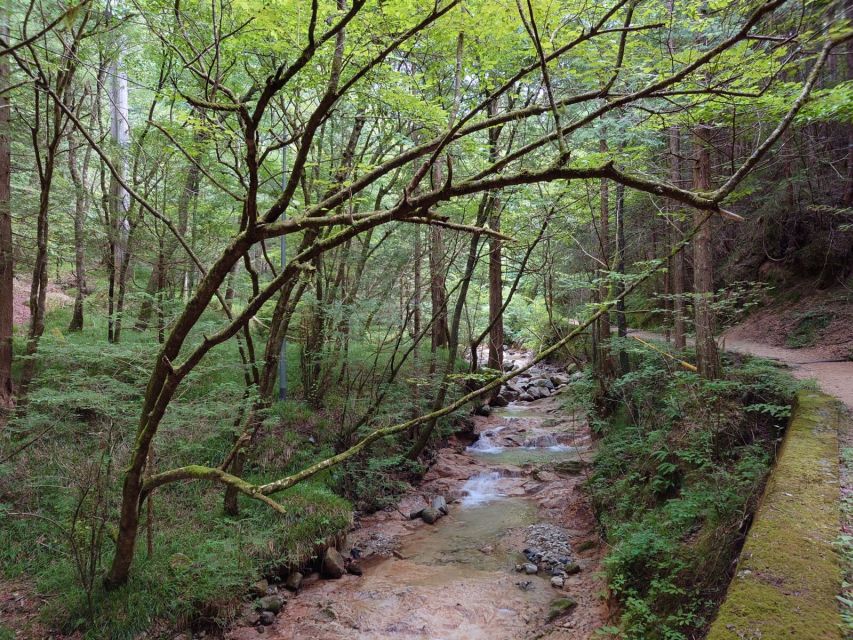 From Matsumoto/Nagano: Nakasendo Trail Walking Tour - Odaki and Medaki waterfalls