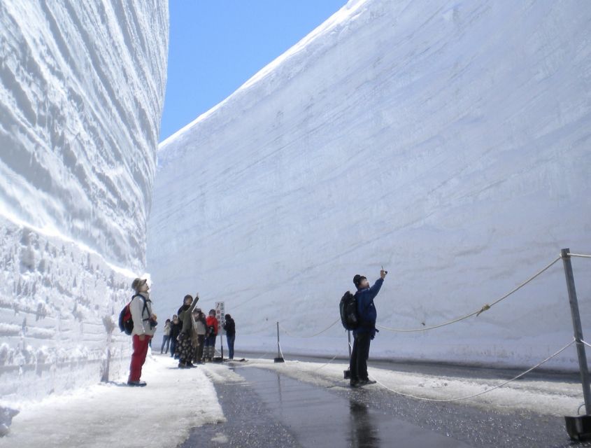 From Nagano: Tateyama-Kurobe Alpine Route - Who will enjoy this tour most