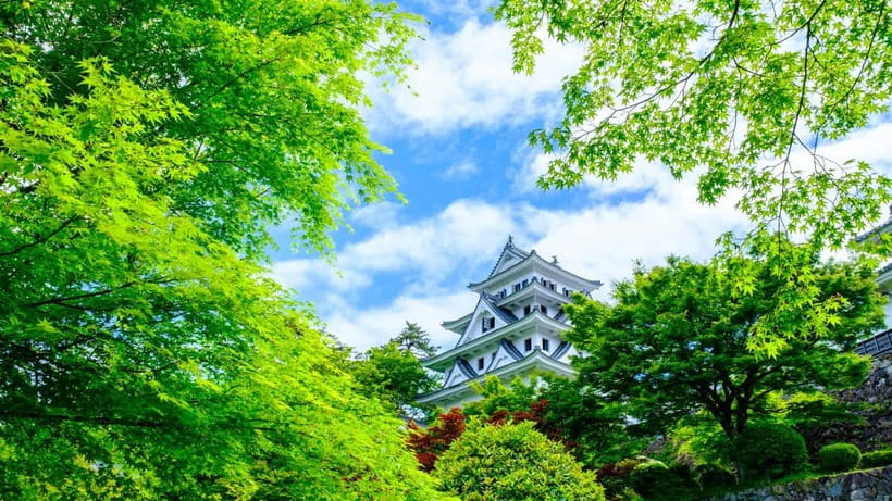 From Nagoya: Gujo, Hida Takayama, and Shirakawa-go Day Tour - Shirakawa-go and the steep-roofed farmhouses