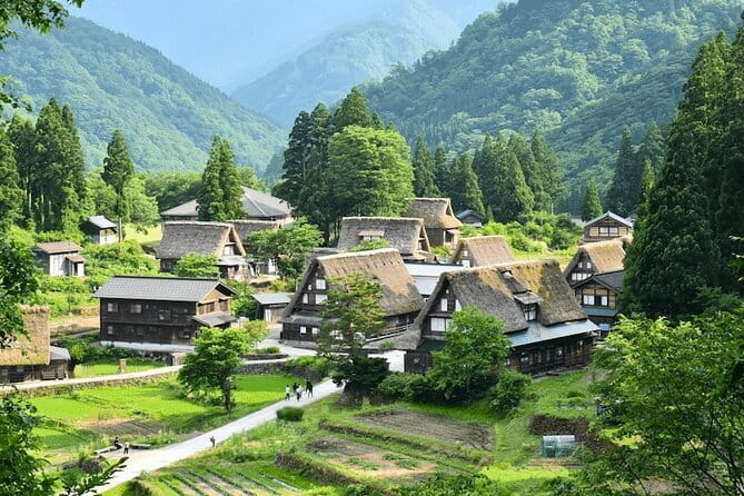 From Nagoya: Hida Takayama & Shirakawago Tour (Small Group) - Shirakawa-go: thatched roofs, rice paddies, and a viewpoint