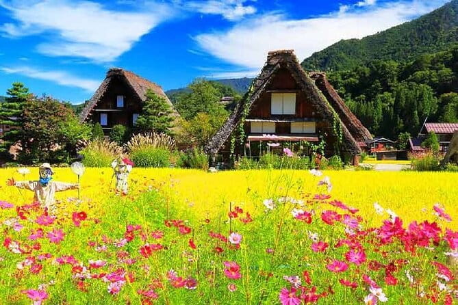 From Nagoya: Hida Takayama & Shirakawago Tour (Small Group) - The small-group advantage, and its limits