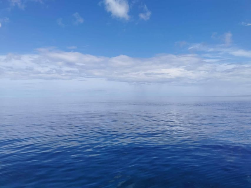 From Naha Scuba Diving Trip in Kerama(for certified divers) - The optional third session for 5,500 yen