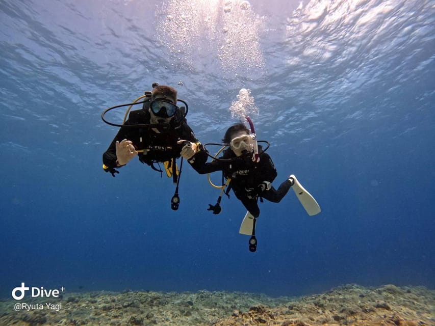 From Naha Scuba Diving Trip in Kerama(for certified divers) - Lunch on board, with no meal included