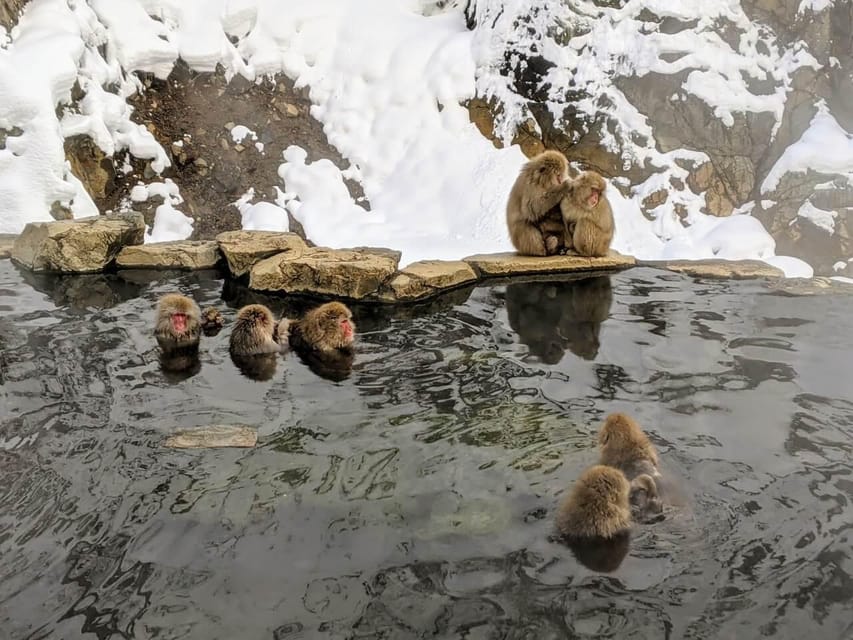 From Nozawa Onsen: Snow Monkeys and Zenko-ji Day Trip & Sake - Sake tasting as the final local note