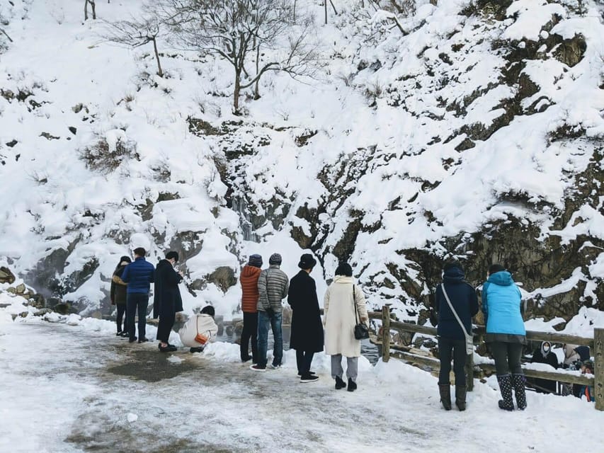 From Nozawa Onsen: Snow Monkeys and Zenko-ji Day Trip & Sake - Is $135 good value?