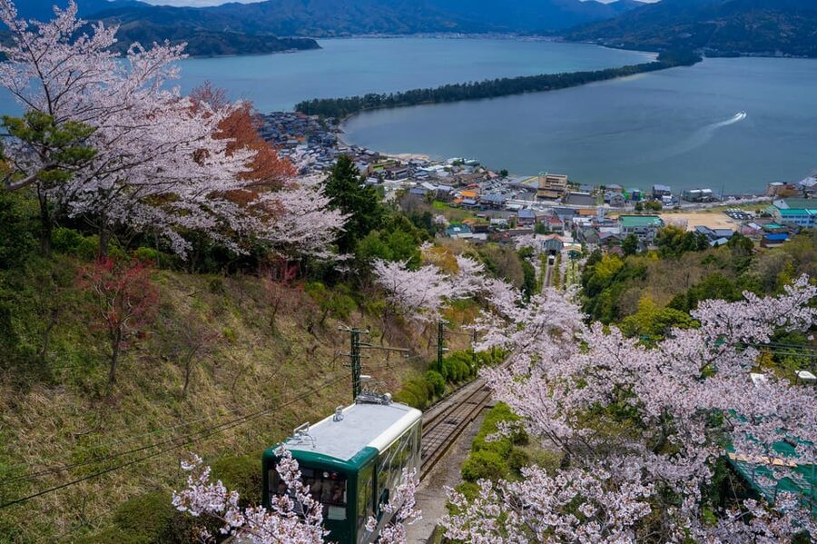 From Osaka: Amanohashidate and Ine Bay Day Trip - Who should book this day trip?