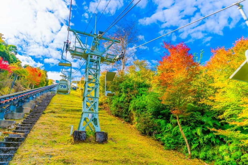 From Osaka: Amanohashidate and Ine Bay Day Trip - The Ine Bay cruise is more entertaining than it sounds