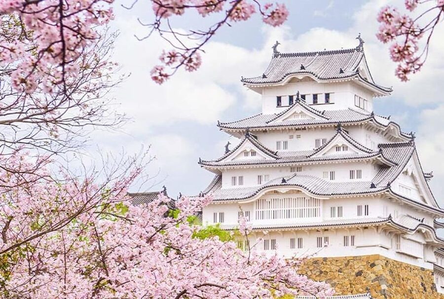 From Osaka: Himeji Castle, Arima Onsen & Mt. Rokko Day Tour - Key points to know before booking