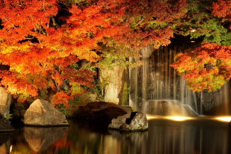 From Osaka: Himeji Castle, Arima Onsen & Mt. Rokko Day Tour - Is $53 a good value?