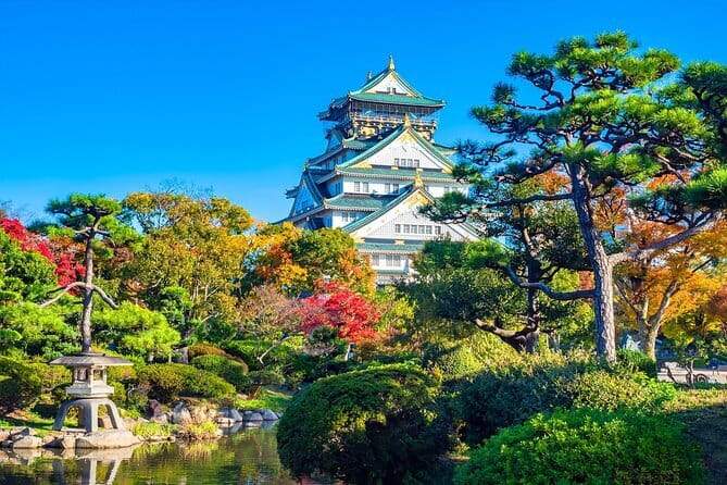 From Osaka/Kyoto: Kyoto & Nara Day Trip with Optional Lunch - Nara Park, deer, and Todai-ji Temple