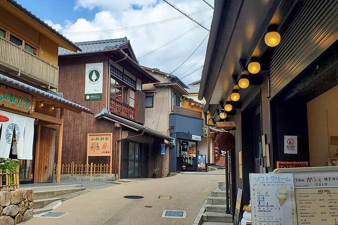 From Osaka/Kyoto: Kyoto & Nara Day Trip with Optional Lunch - Fushimi Inari’s famous red gates