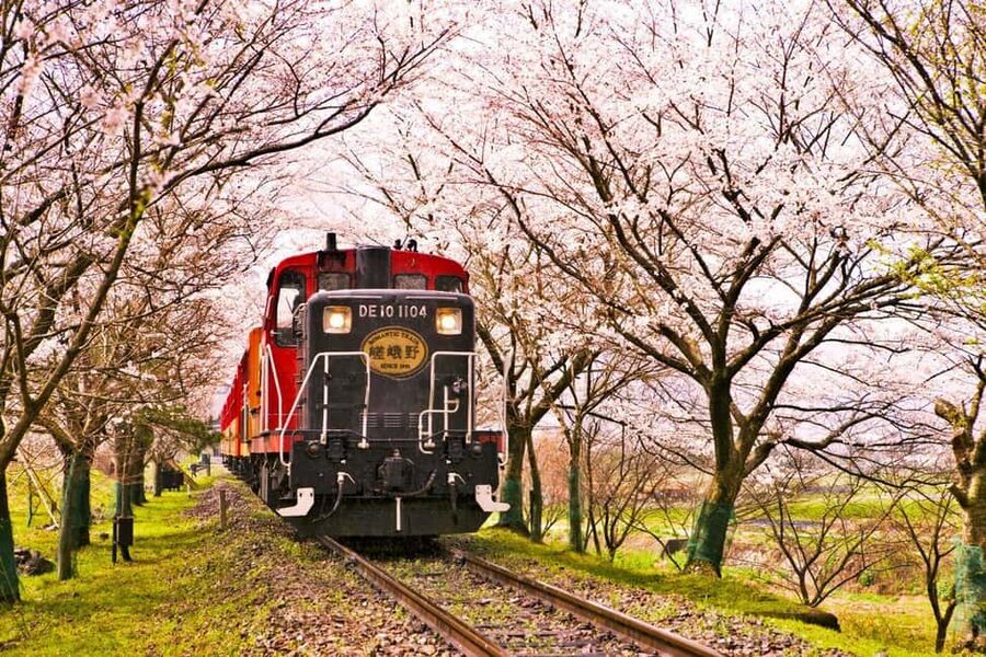From Osaka: Kyoto, Nara, Fushimi Inari & Arashiyama Day Tour - Nara Park and the deer