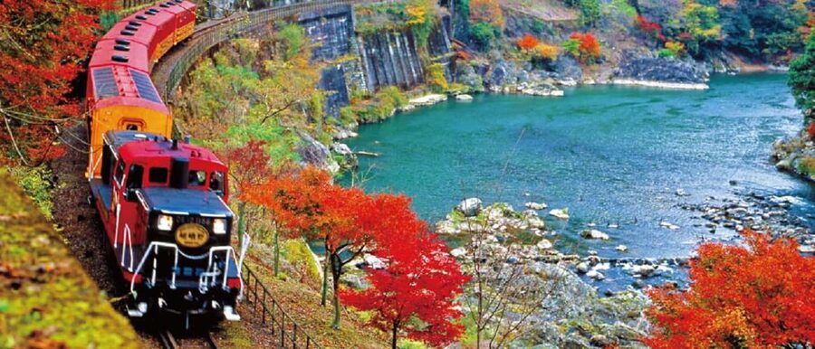 From Osaka: Kyoto, Nara, Fushimi Inari & Arashiyama Day Tour - Who will get the most from this day