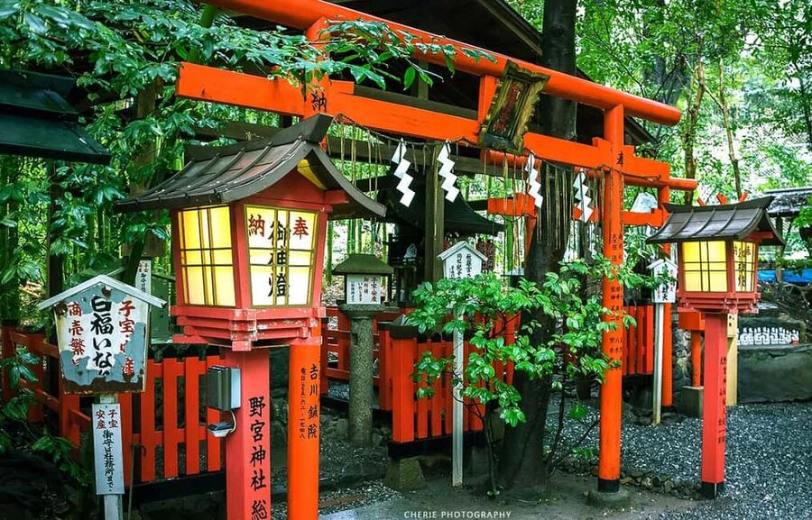 From Osaka: Kyoto, Nara, Fushimi Inari & Arashiyama Day Tour - Starting early at Nipponbashi