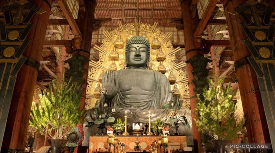 From Osaka/Kyoto: Private Kyoto & Nara Day Trip with Pickup - What the private vehicle and host add