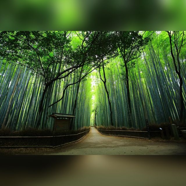 From Osaka/Kyoto: Private Kyoto & Nara Day Trip with Pickup - Nara Park and the deer at Mt. Wakakusa