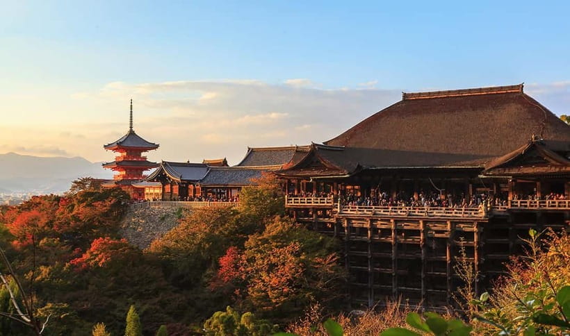 From Osaka: Nara Deer & Kyoto Kiyomizudera Sightseeing Tour - Who will get the most from this day