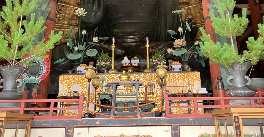 From Osaka: Nara Private Tour with Meet-Up at Your Hotel - Why this Nara day trip works from Osaka
