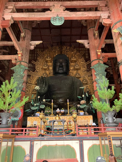 From Osaka: Nara Private Tour with Meet-Up at Your Hotel - The Osaka departure and the 70-minute train ride
