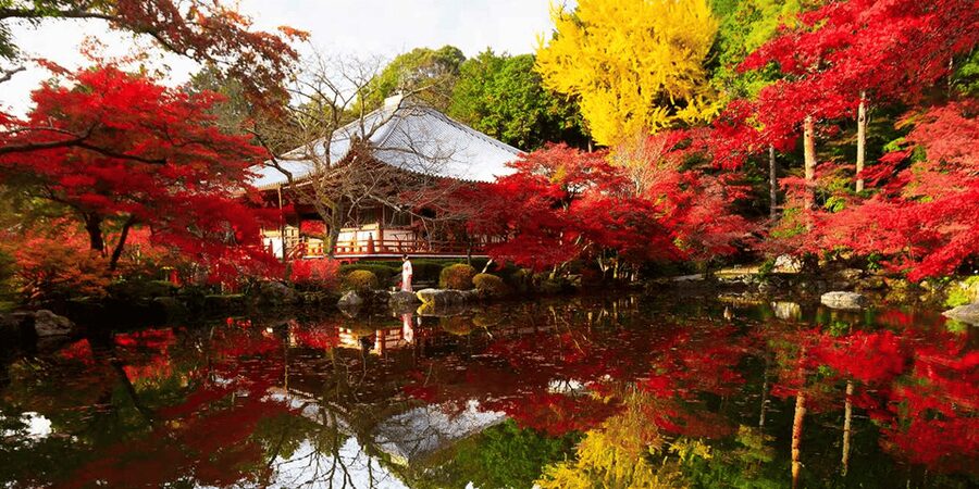 From Osaka: Private Customized Day Tour to Kyoto - Key points at a glance